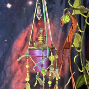 Light green plant with vines in purple pot with plant hanger 4" Pot