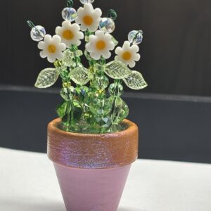 Little daisies in light pink 1" pot